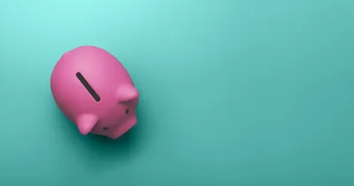 The Macroeconomic Effects of the August 2021 Senate Budget Reconciliation Package