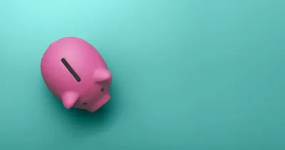 The Macroeconomic Effects of the August 2021 Senate Budget Reconciliation Package